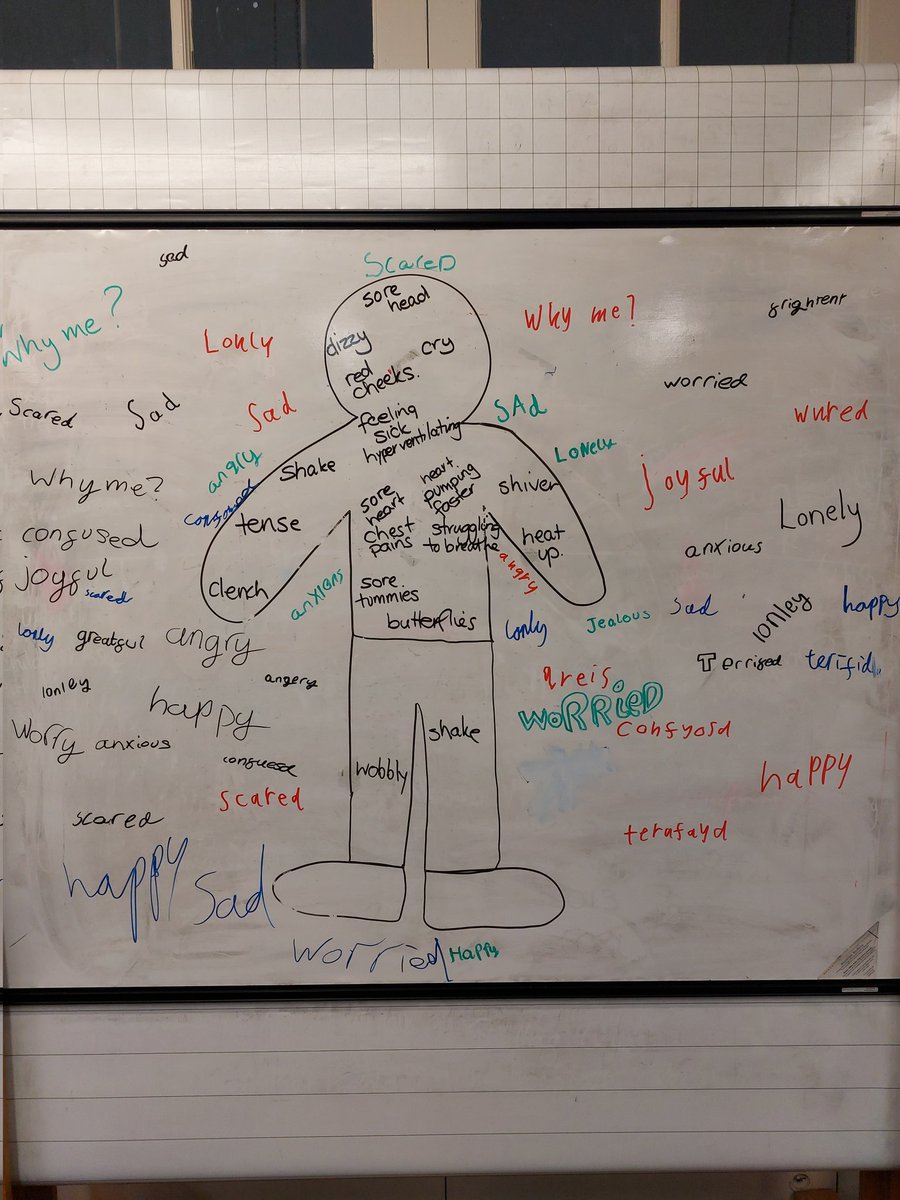 Today our Seasons for Growth groups mapped the emotions/feelings and physical reactions to change and loss we all can experience. We are so proud of their ability to talk so openly and honestly.
#SeasonsforGrowth #Article13 #Article14 #Article15