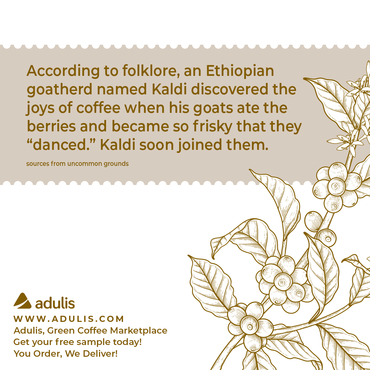 According to folklore, an Ethiopian goatherd named kaldi discovered the joys of coffee when his goats ate the berries and became so frisky that they "danced." Kaldi soon joined them. #Adulis #aduliscompany #greencoffeemarketplace