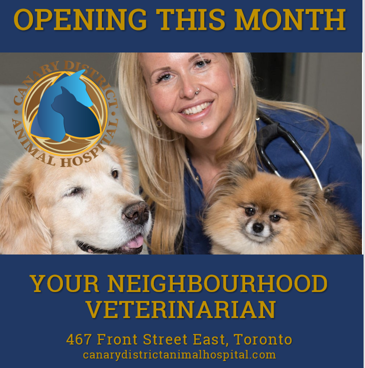 DrEllenKinzl's tweet photo. Counting down to January 31!
.
.
#veterinarian #torontovets #torontopets #animalhospital #openingsoon #corktown #canarydistrict #CDAH #LVAH https://t.co/mLMjjX1LmZ