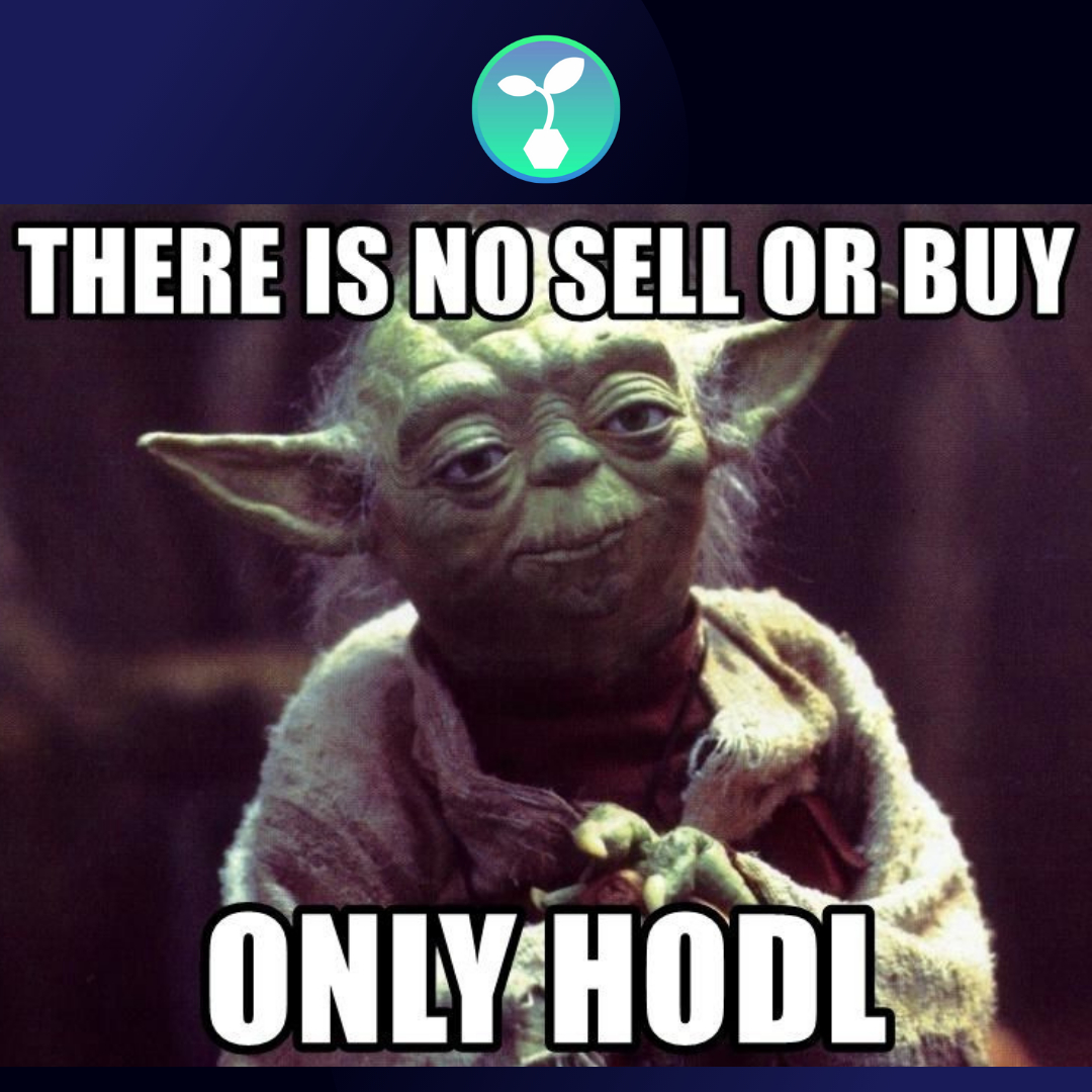 WEGROCoin's tweet photo. "You must unlearn what you have learned.

Yoda is indeed a wise character! 🔮

Let's explain... #WeGroCoin values its holders! 🌱

Instead of selling your tokens HODL them and get

💰5% BNB redistribution 

Start earning NOW! 👇

https://t.co/HYm3hsVd2b" https://t.co/7F4pI1ojVw