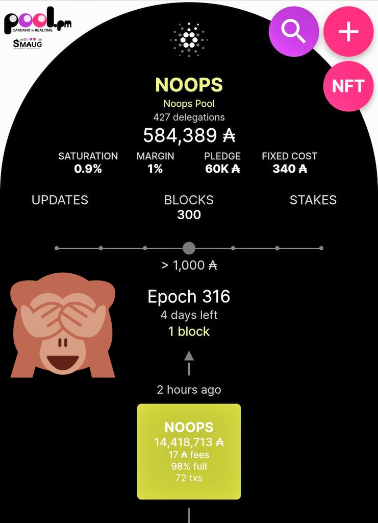 NOOPS Pool tweet media