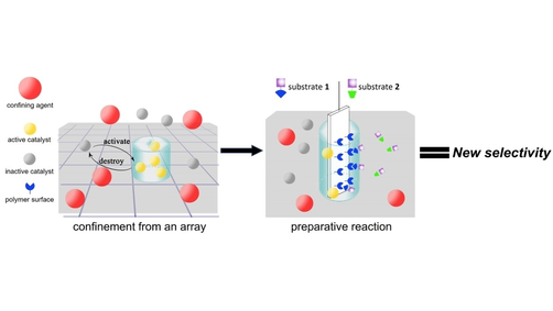 Angewandte Chemie (@angew_chem) on Twitter photo Lessons from an Array: Using an Electrode Surface to Control the Selectivity of a Solution-Phase Chemical Reaction (Moeller) <a href="/WashUChem/">WashU Chem</a> onlinelibrary.wiley.com/doi/10.1002/an… Lessons from an Array: Using an Electrode Surface to Control the Selectivity of a Solution-Phase Chemical Reaction (Moeller) <a href="/WashUChem/">WashU Chem</a> onlinelibrary.wiley.com/doi/10.1002/an…
