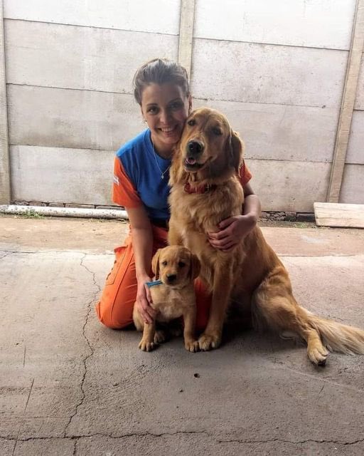 sosagustina's tweet photo. Luana tenía 26 años y soñaba con ser parte del Equipo Técnico de Acción ante Catástrofes. Hace poco juntó el valor para denunciar por abuso sexual a Diego Concha, quien era Director de Defensa Civil de Córdoba. Las secuelas fueron insoportables. Luana decidió quitarse la vida. https://t.co/jrW8YeFNW2