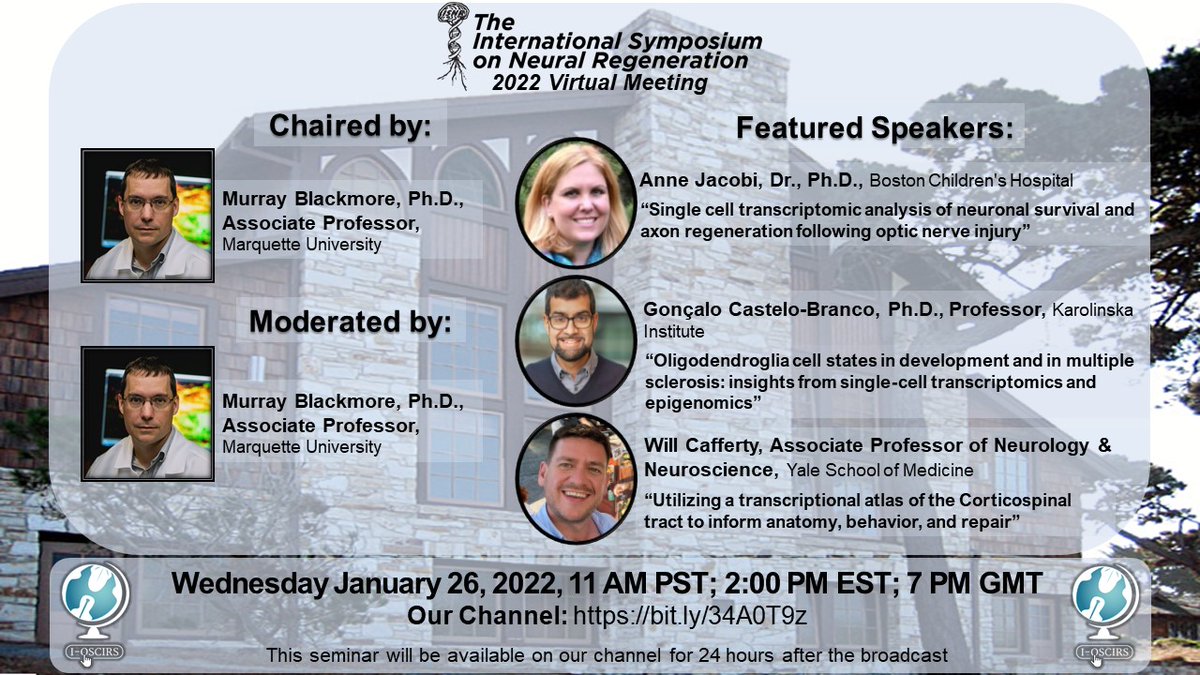 International Online SCI Research Seminars tweet media