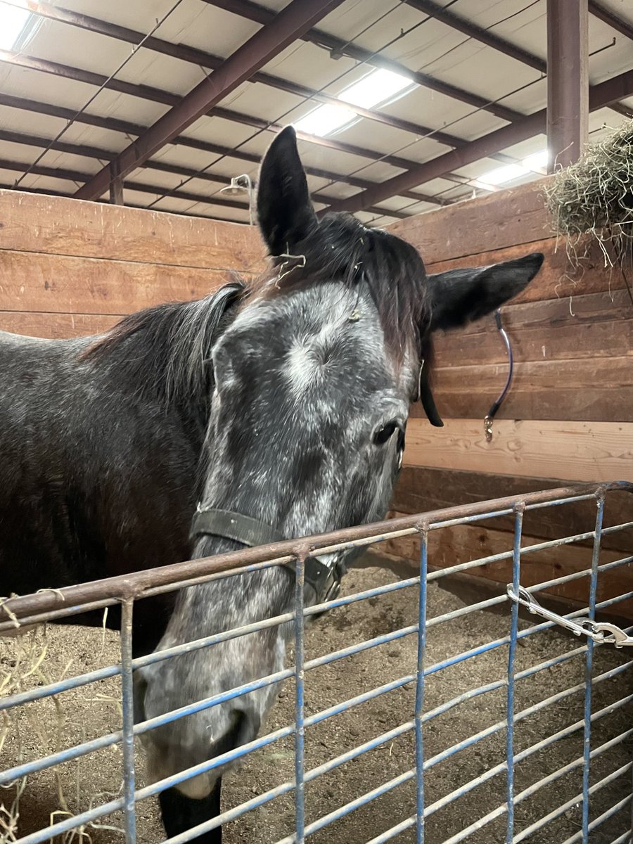 TB_Soybean's tweet photo. Had my 1st work this morning!! Happy to be back ⁦@FonnerRacing⁩ https://t.co/UokTdJu5t3