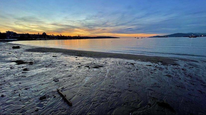 FraserRivKeeper's tweet photo. This #FRKFeatureFriday we’re sharing an awesome collection of photos of #Kitsilano #Beach at sunset!
“Enjoying a Sunny Sunday Sunset at Kits Beach🌅🥶❄️😎”
Make sure to tag your water photos with #FRKFeatureFriday for a chance to be featured!
📷: elvira, Instagram https://t.co/MEHHKsAk8R