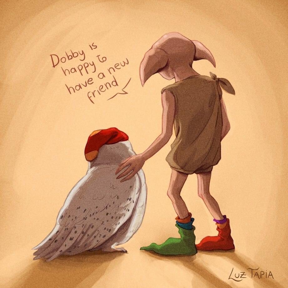 HarryPotterBrr's tweet photo. Hedwig e Dobby ❤️ https://t.co/pYGLXT5le0