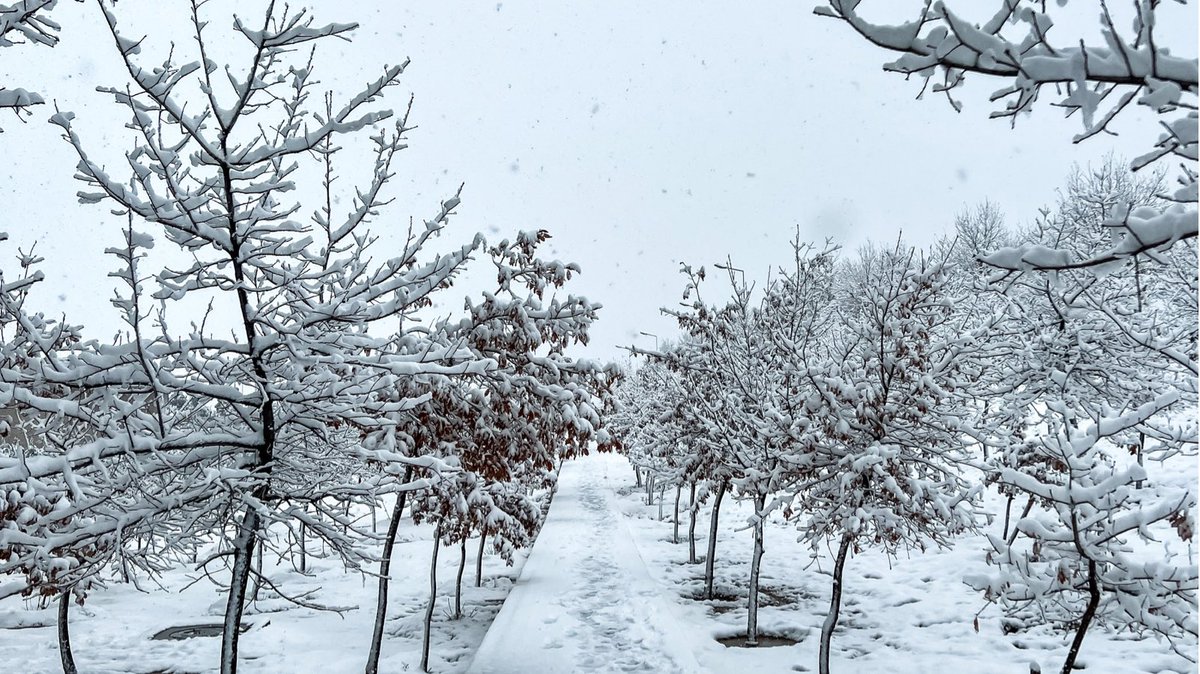 RandSalahudin's tweet photo. Beautiful #Slemani in white! 

#suli #snow #kurdistan #iraq #sulaimanyah #winter https://t.co/m803dy2nXY