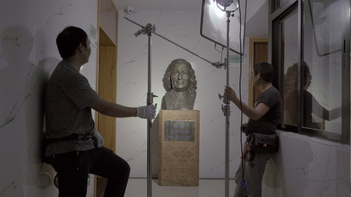 Join AAA-A and <a href="/Triple_Canopy/">Triple Canopy</a> on 1/30 at 1pm EST for Miasma, Plants, Export Paintings: A Screening with artist Bo Wang, followed by a discussion with Wang and TC senior editor Matthew Shen Goodman. More info and free registration here: us02web.zoom.us/webinar/regist…