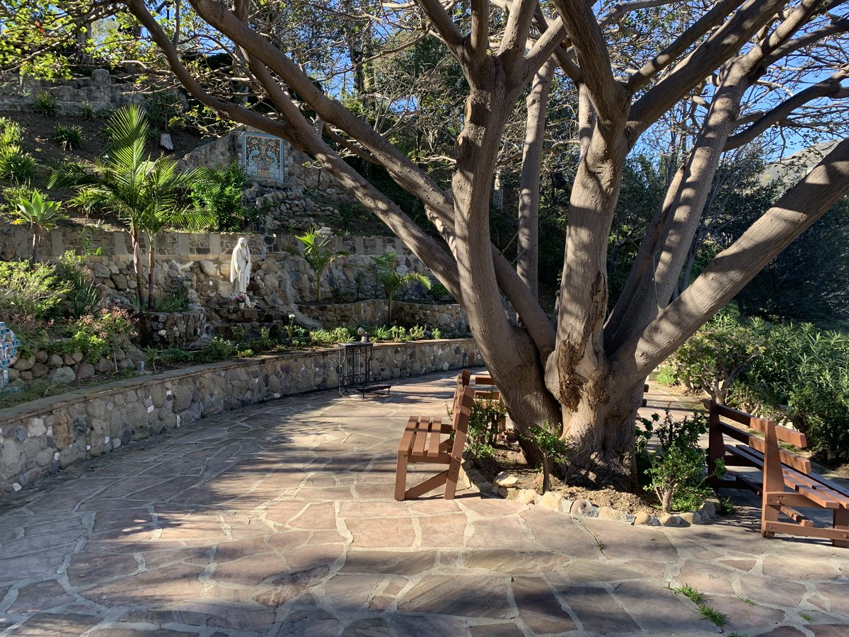 Happy Friday!
#serraretreat #BlessedMother #meditationgarden