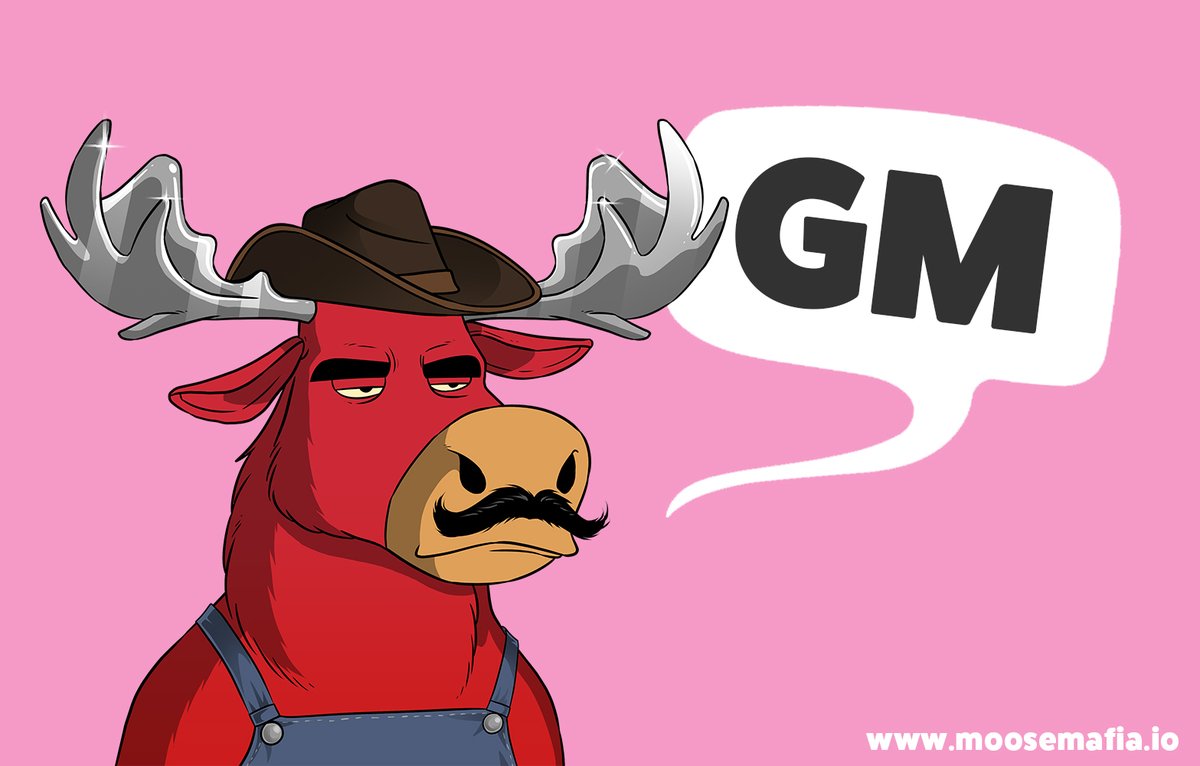 Moose Mafia tweet media