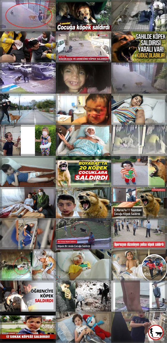 Biz artık başıboş köpekler tarafından parçalanan çocukların adını ezberlemek istemiyoruz! #KöpekTehlikesi