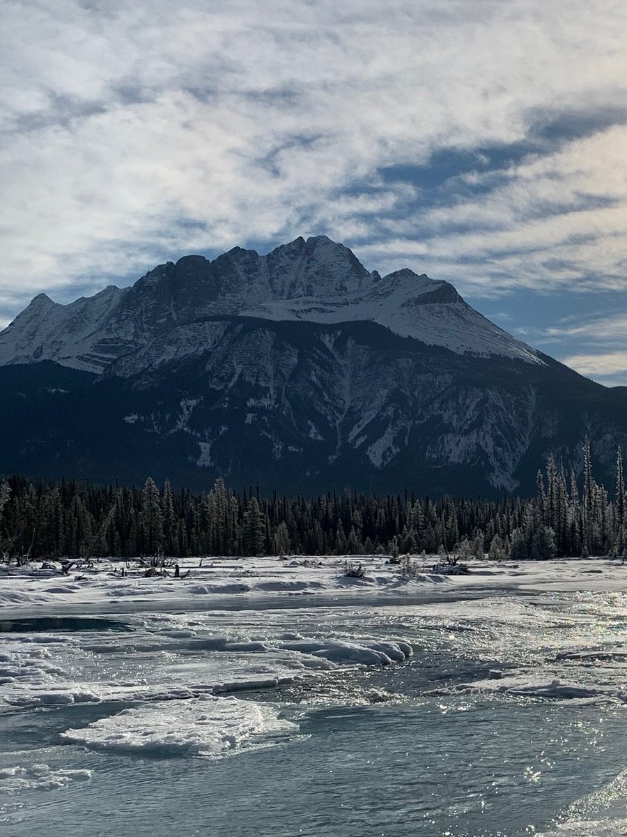 We were disappointed that we had to postpone the Banff Inflammation Workshop #BIW2022 😕.  The good news is that #BIW2023 is happening @banffcentre in just 370 days!! 🥳  Keep your calendars clear for Jan 26-29 2023.  We hope to see you there!