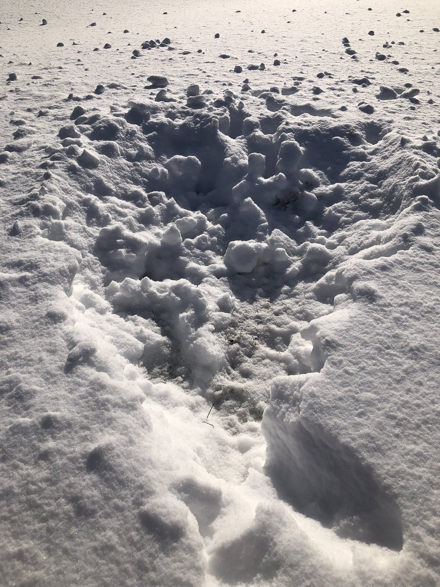 Etobicoke Outdoor Education Centre tweet media