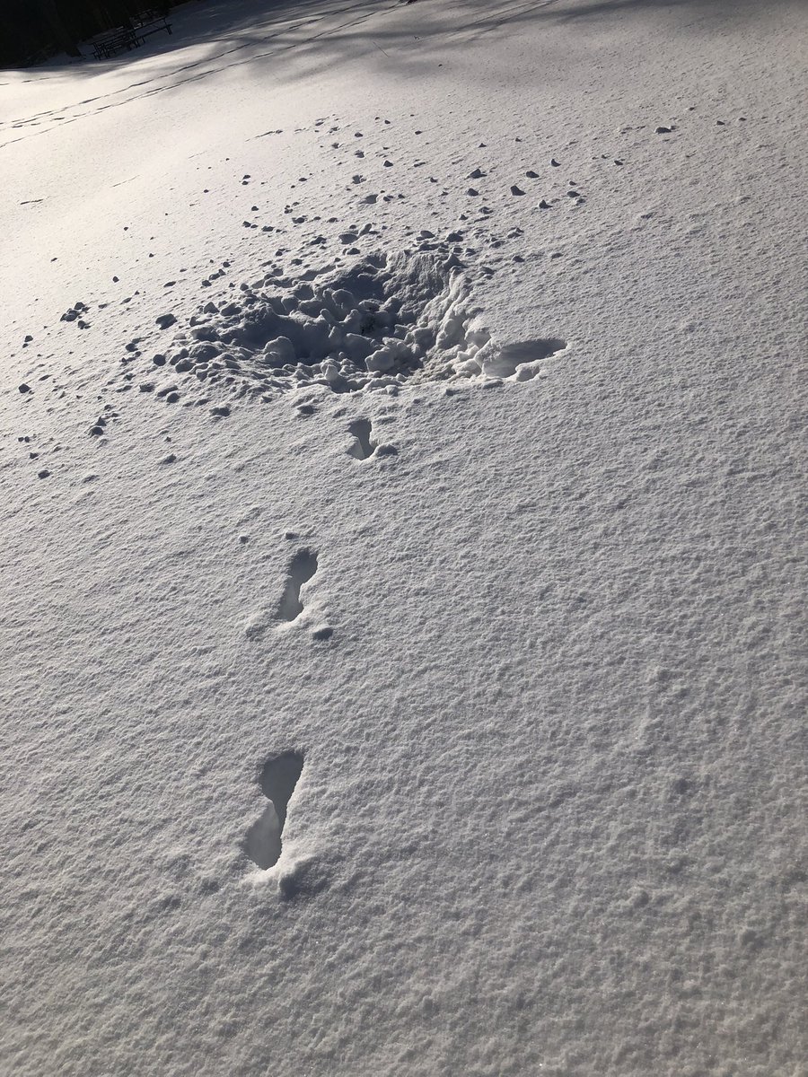 Etobicoke Outdoor Education Centre tweet media