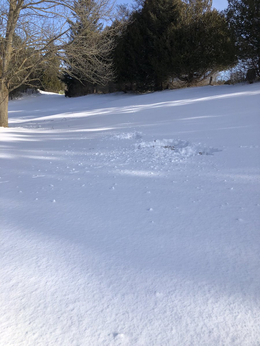 Etobicoke Outdoor Education Centre tweet media