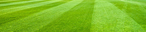 valleysodfarmla's tweet photo. Sod can reduce sun glare by up to 30% and is still the most cost effective way to control wind and water erosion. It acts as a natural filter for the ground with it's expansive root system and can drink up to 10 times the amount of water a seeded lawn can. https://t.co/EwC9v5yGF3