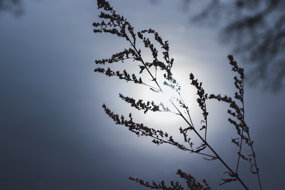 chrisnatuurlijk's tweet photo. Het thema van de tiende Poëzieweek is natuur en @Myrteleffring is onderweg naar de studio. Om 08:45 leest ze haar favoriete natuurgedicht voor in  @chrisnatuurlijk op @RTV_Rijnmond radio. https://t.co/sQHSakSdoa