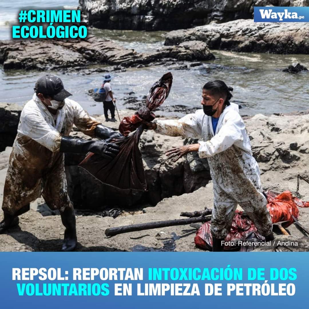 WaykaPeru's tweet photo. #ALERTA | La premier @MirtyVas informó que se tiene el reporte de dos personas intoxicadas, voluntarias en limpieza del crudo, y que han tenido que ser atendidas en hospitales de @EsSaludPeru de #PuentePiedra. #CrimenEcológico https://t.co/XbacEFvmyG