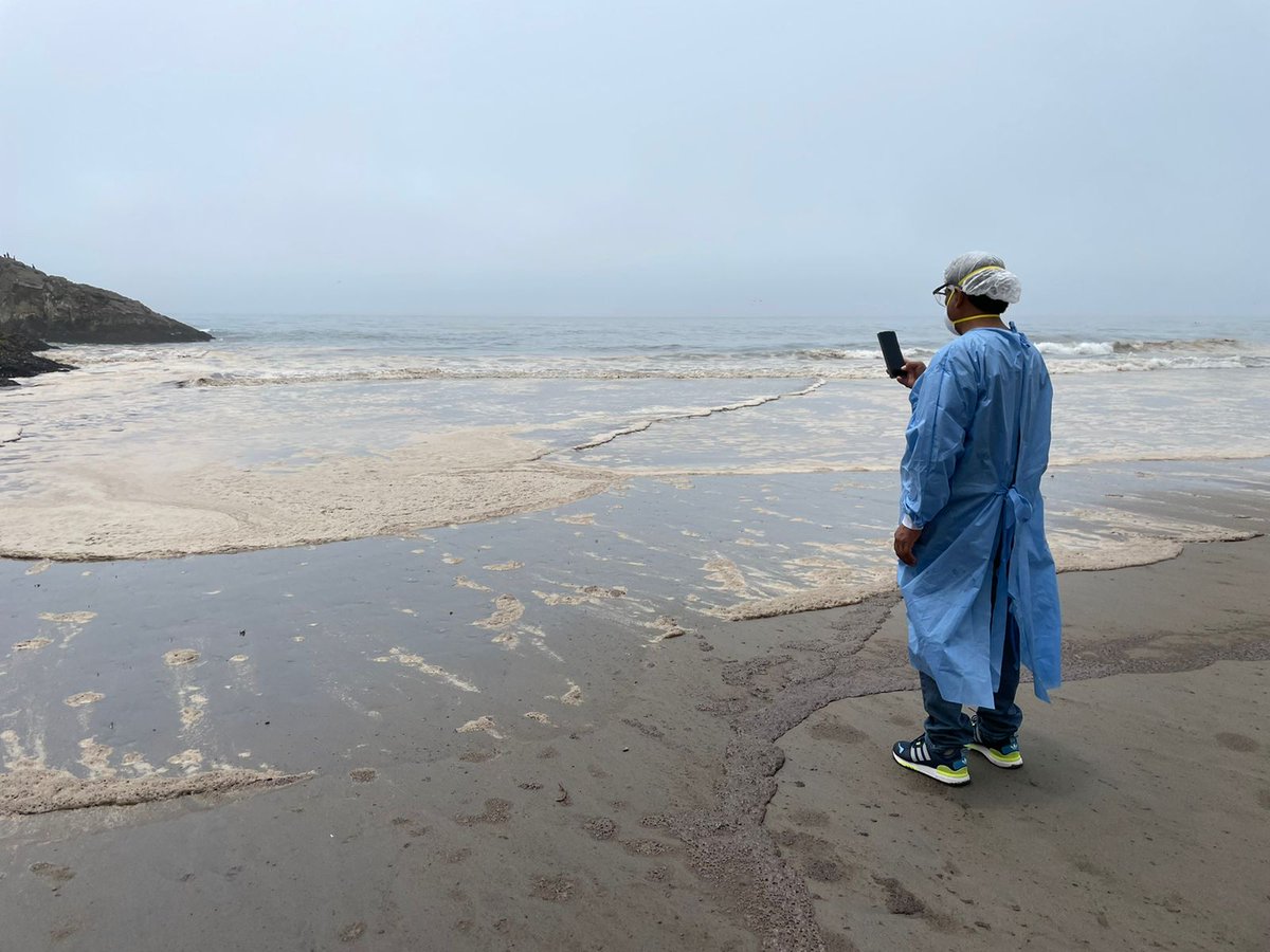Minsa_Peru's tweet photo. El #Minsa a través de #PROMSA llegó a la playa Chacra y Mar del distrito de Chancay para alertar y orientar a la población sobre los riesgos de la exposición a la aguas contaminadas con petróleo de la mano de los agentes comunitarios. https://t.co/g4O1ccBNoY