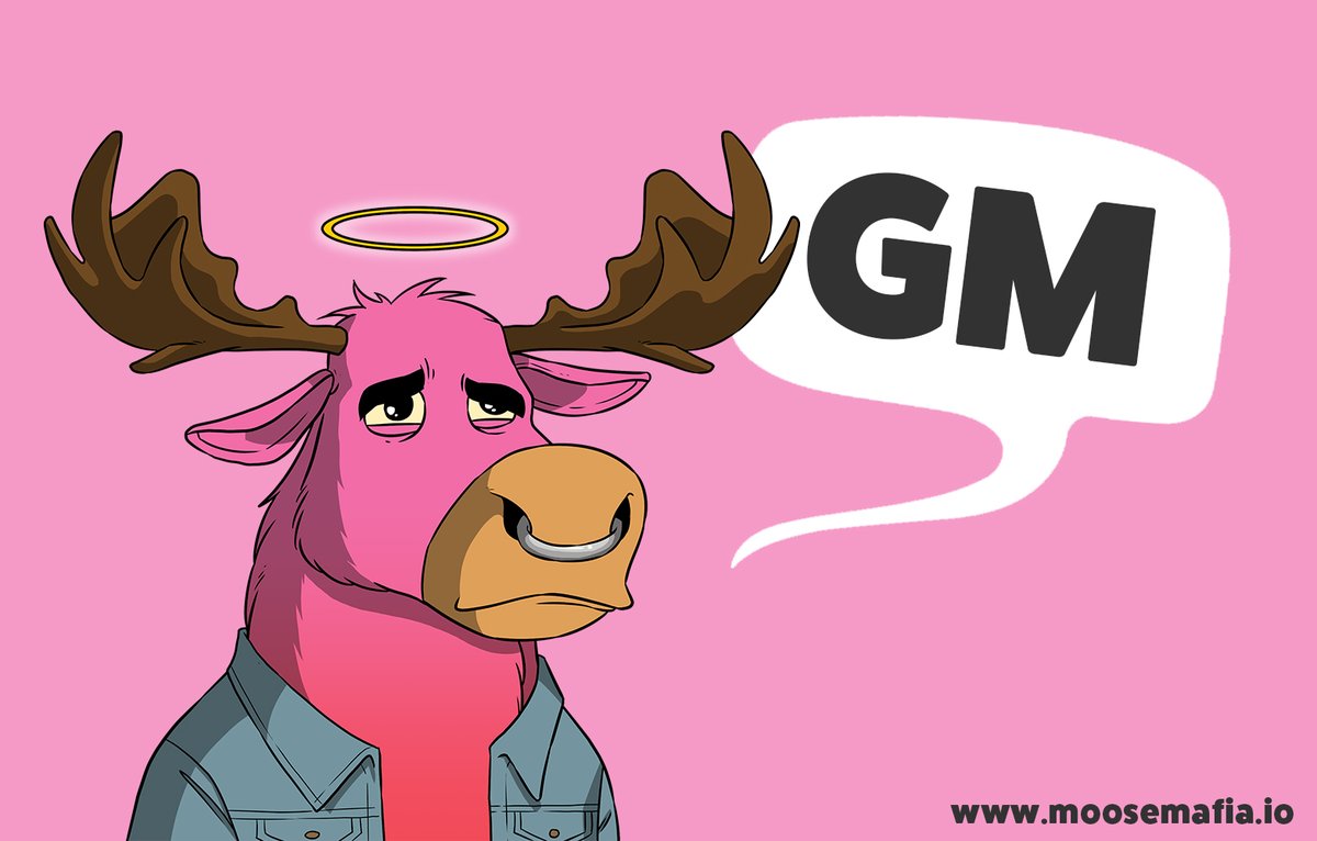 Moose Mafia tweet media