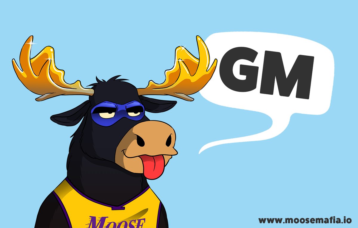 Moose Mafia tweet media