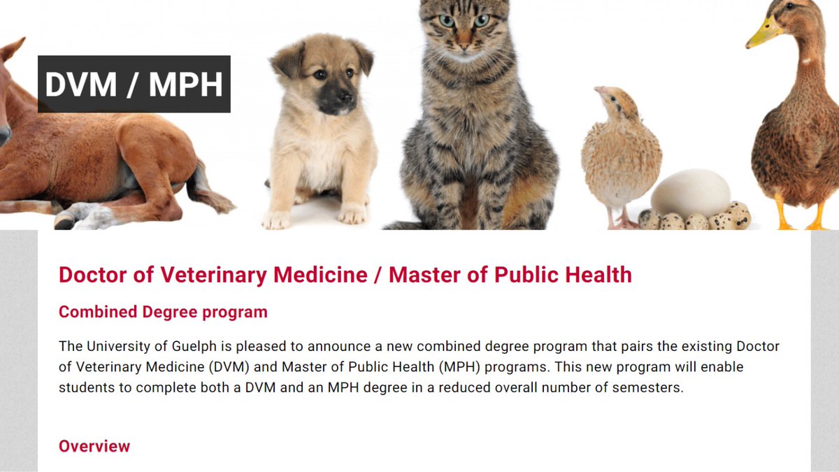Applications are due February 1st for the U of Guelph combined <a href="/OntVetCollege/">Ontario Veterinary College</a> DVM/MPH program!

The combined DVM/MPH provides future veterinary graduates w/ formal training in Public Health. The DVM/MPH students complete an MPH in just one additional year: tinyurl.com/v2rfrbje