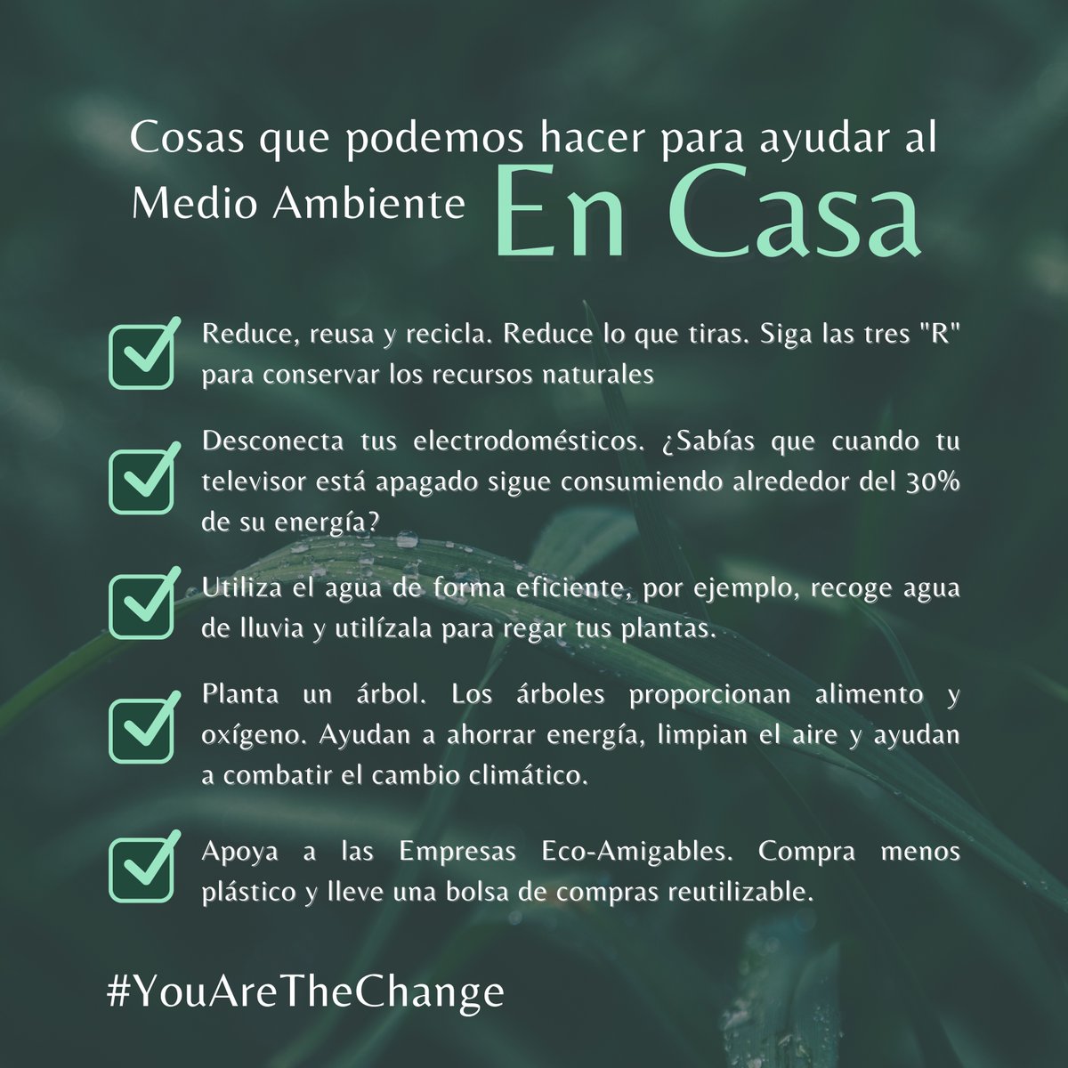 EtnyaSv's tweet photo. Cosas que podemos hacer para ayudar al #medioambiente en Casa! 🌳

#YouAreTheChange https://t.co/A7gUJS0eOi