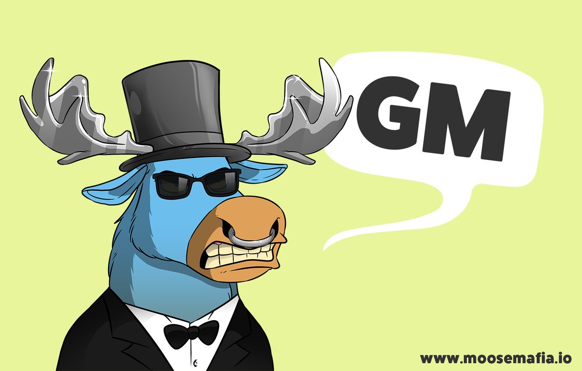 Moose Mafia tweet media