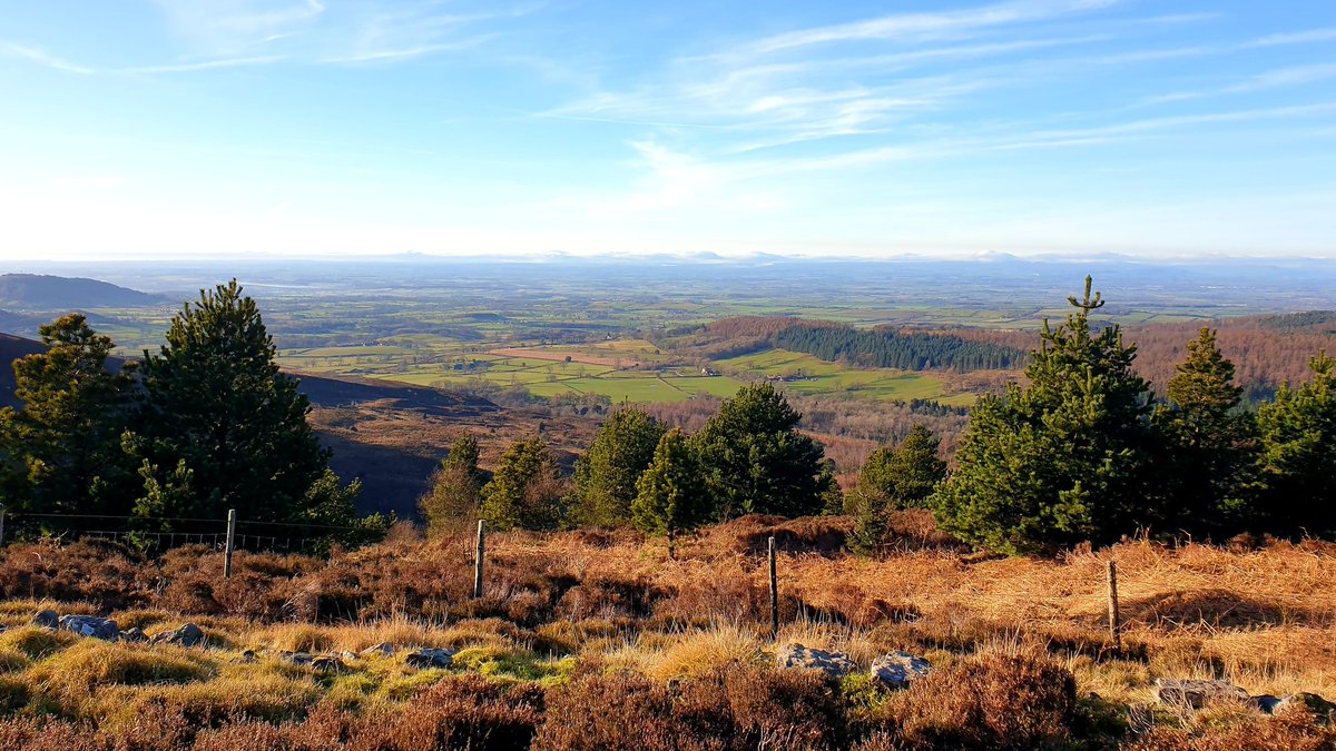 11 gloriously sunny, peaceful & scenic miles on @ClevelandWayNT today. Could only hear my footsteps & the occasional grumpy grouse. Just perfect for the body & mind. Training plan said 4 miles but it was too good a day to do 'just' 4 miles! @HardmoorsUltras @NationalTrails