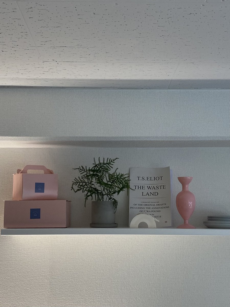 本当に正直俺のアナザースカイって言いたいくらい大好きなカフェ。
初めて行ってから1年と少し経ってより素敵になったな。写真で見てるだけじゃ物足りなくて、時間ないのにダッシュで。それくらいしても行きたいのがHushなんだよね、大好きだ〜😭😭