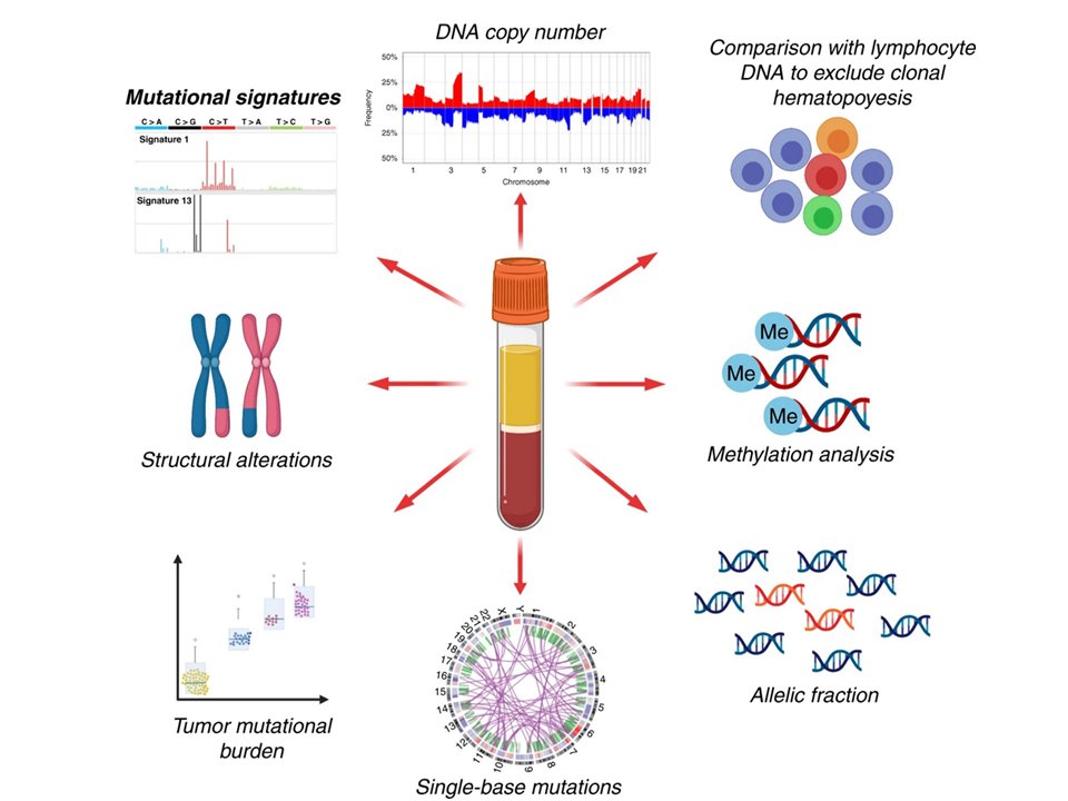 International Society of Liquid Biopsy (@isliquidbiopsy) on Twitter photo <a href="/isliquidbiopsy/">International Society of Liquid Biopsy</a> In the Spotlight: "Cell-free DNA analysis in current cancer clinical trials: a review". nature.com/articles/s4141…. <a href="/ChristianRolfo/">Christian Rolfo</a>
<a href="/MJOSESERRANO19/">M JOSE SERRANO Lab (LB&Cancer Interception group)</a>
<a href="/UmbertoMalapel1/">Umberto Malapelle</a> <a href="/drgandara/">David Gandara</a> <a href="/ElJanLe/">ELO</a> @MCristofanill <a href="/isliquidbiopsy/">International Society of Liquid Biopsy</a> In the Spotlight: "Cell-free DNA analysis in current cancer clinical trials: a review". nature.com/articles/s4141…. <a href="/ChristianRolfo/">Christian Rolfo</a>
<a href="/MJOSESERRANO19/">M JOSE SERRANO Lab (LB&Cancer Interception group)</a>
<a href="/UmbertoMalapel1/">Umberto Malapelle</a> <a href="/drgandara/">David Gandara</a> <a href="/ElJanLe/">ELO</a> @MCristofanill