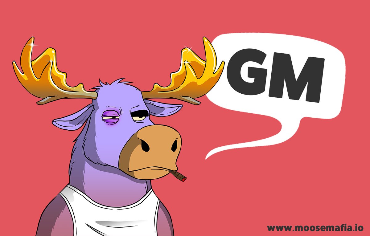 Moose Mafia tweet media