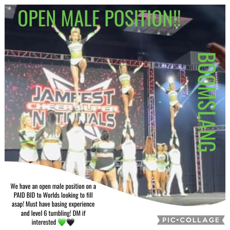 🚨🚨Open level 6 Male Position🚨🚨 message us for more info! #boomslang #ohiocheer #paidbid #cheerleadingworlds