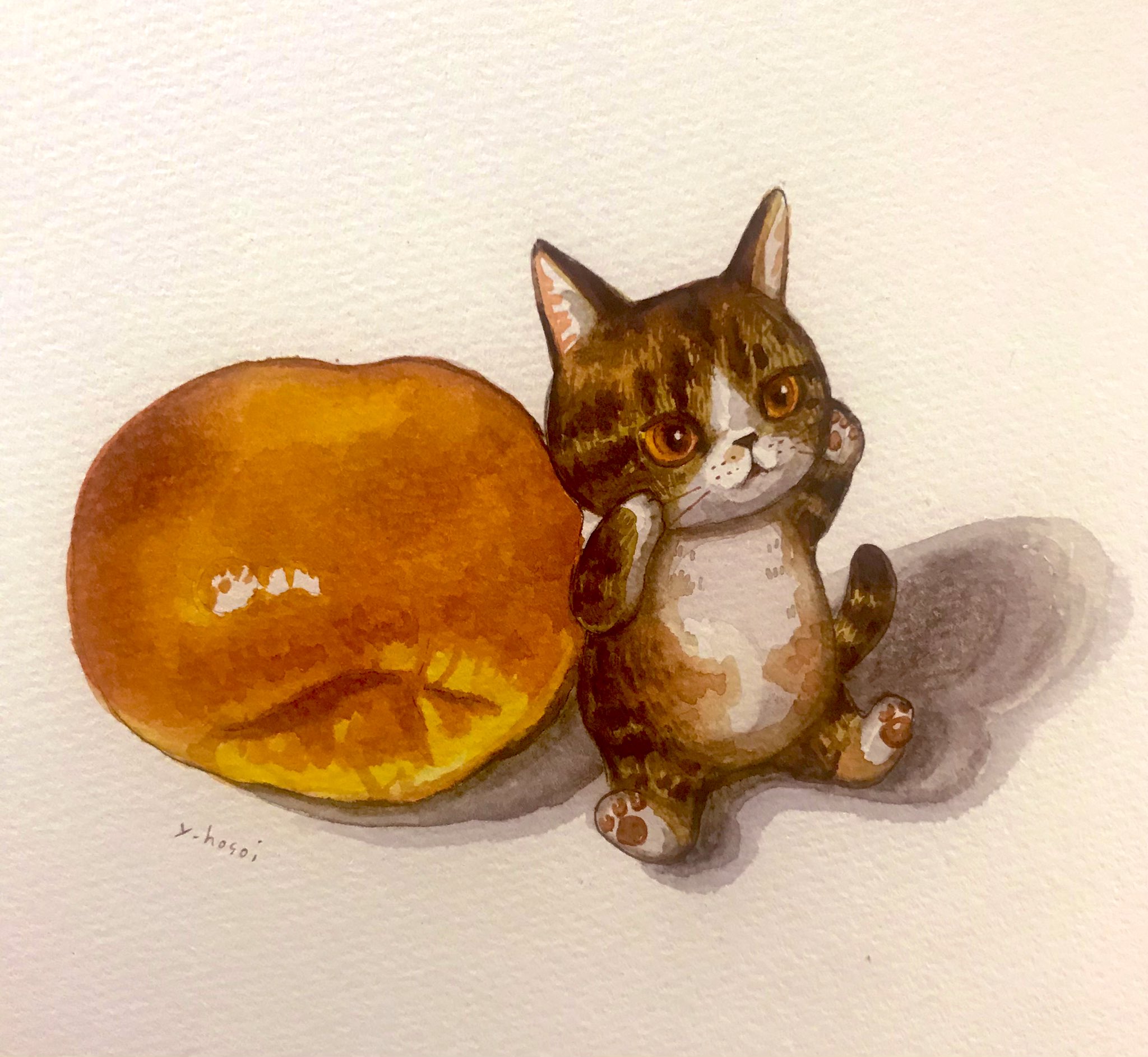 コロコロ屋 Korokoroya Twitter