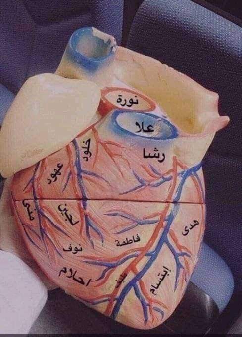 "خُذي قَلبي إلَيكِ وَفَتِّشيهِ
فَما في القلبِ إلّا أنتِ فيهِ"