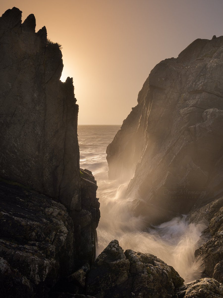 Golden loveliness in Clogherhead Co #Louth on #IrelandsAncientEast  <a href="/ireland/">Ireland / Christina</a>