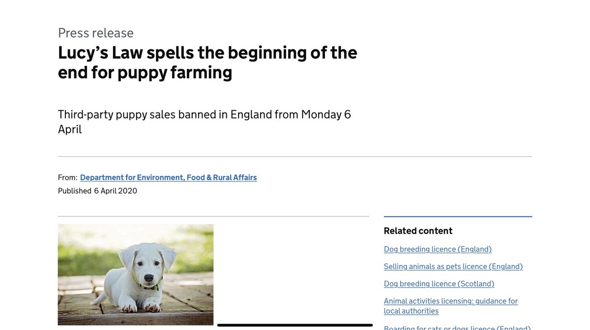 Do You Need A Dog Licence In Scotland