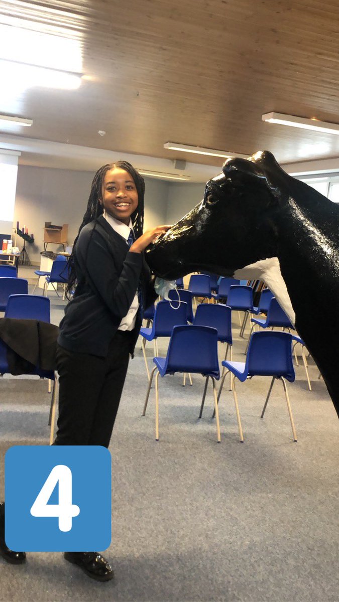 ⭐️ FINALISTS ⭐️ Vote in the comments for your favourite selfie with our special guest Bella! Thank you <a href="/MullerDairy_UK/">MullerDairy_UK</a> for sending Bella to school with us today, the team love her! #bellathecow #photocompetition