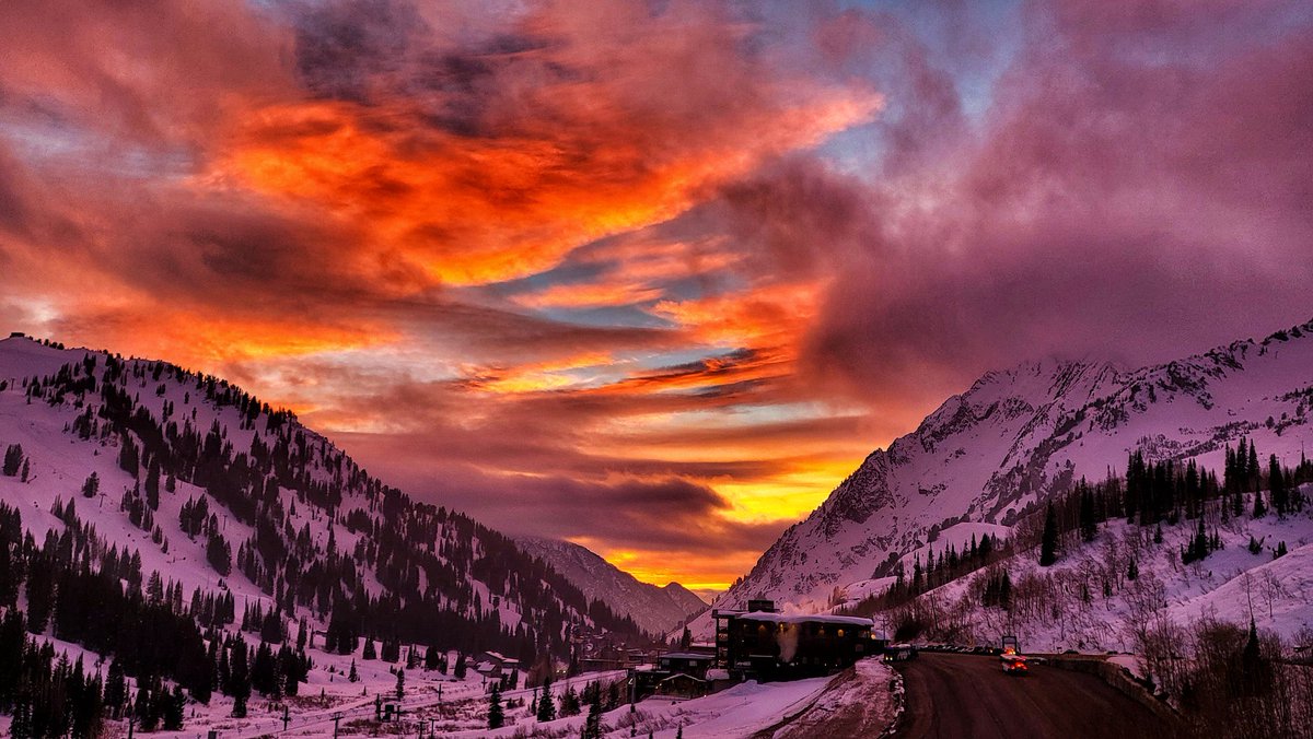thrivingdeb's tweet photo. Wow… nature has a way with color… https://t.co/bErNeOgnZ8