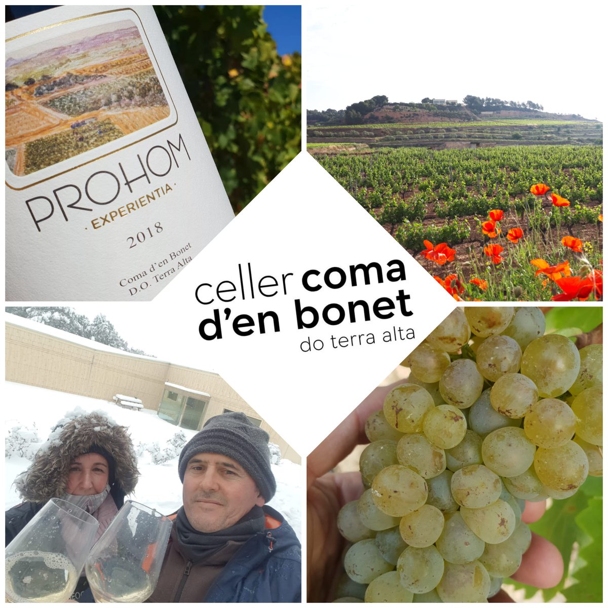 Identidad expresión de Terra Alta #Garnacha Blanca a 350-400
Suelo arcilloso transmite caracter del terruño
Vino fresco amable y poca intervención
#artisanwineattraction #barcelonawineweek #barcelonawineweek2022 #bww2022 #bww #vino #vi #vin #wein #wine #doterraalta #comadenbonet