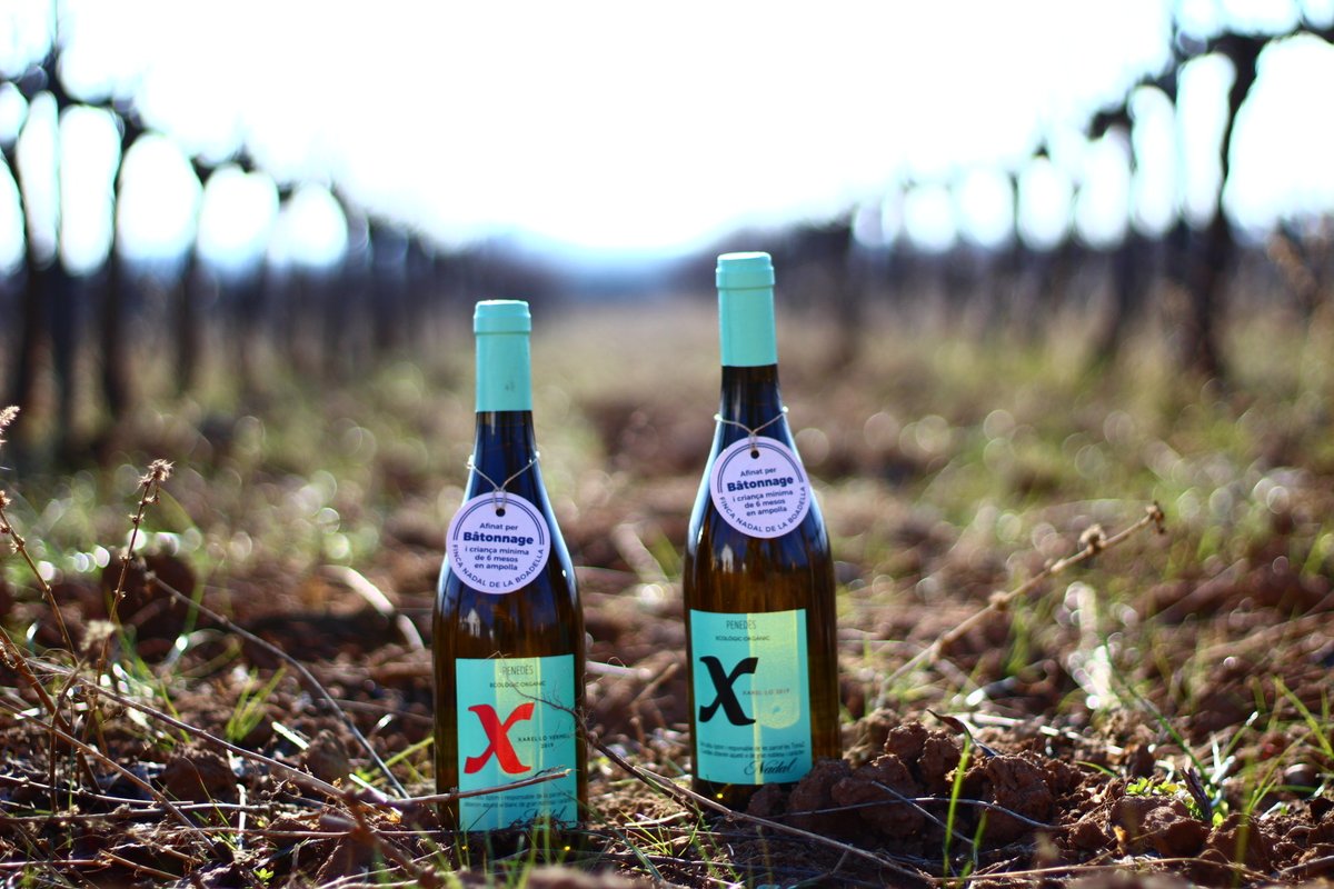 nadalwines's tweet photo. Tots aquests anys d’experiència ens han permès afinar i millorar aspectes organolèptics que han donat als nostres vins de xarel·lo, un estil inconfusible.

Aquestes dues varietats autòctones i històriques del Penedès, et donen vins elegantment rústics, frescos, voluminosos. https://t.co/gEONJvqyzi