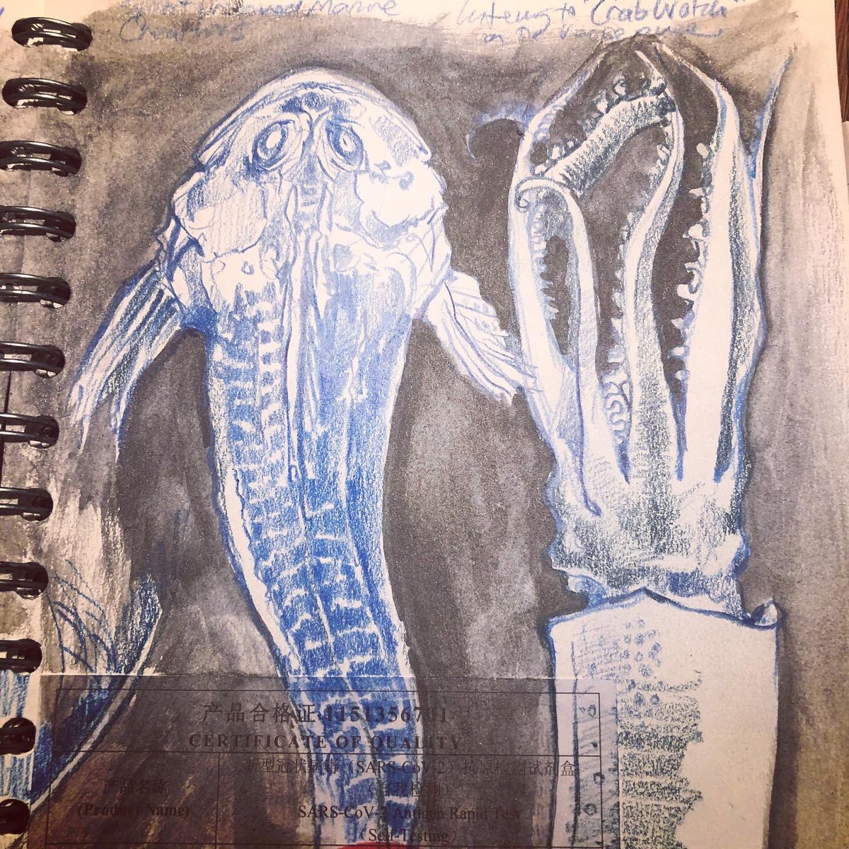WreckDive's tweet photo. The Box - Plymouth. Wonderful - 1 hour sketching before the museum closed - blue pencils - as a reward to myself for writing on Wednesday - here in the wet specimen collection - again, I can’t keep away. #thebox @theboxplymouth #sketchbook #draw #drawing #fish #wetspecimens #uk https://t.co/VlhMrElJ4w
