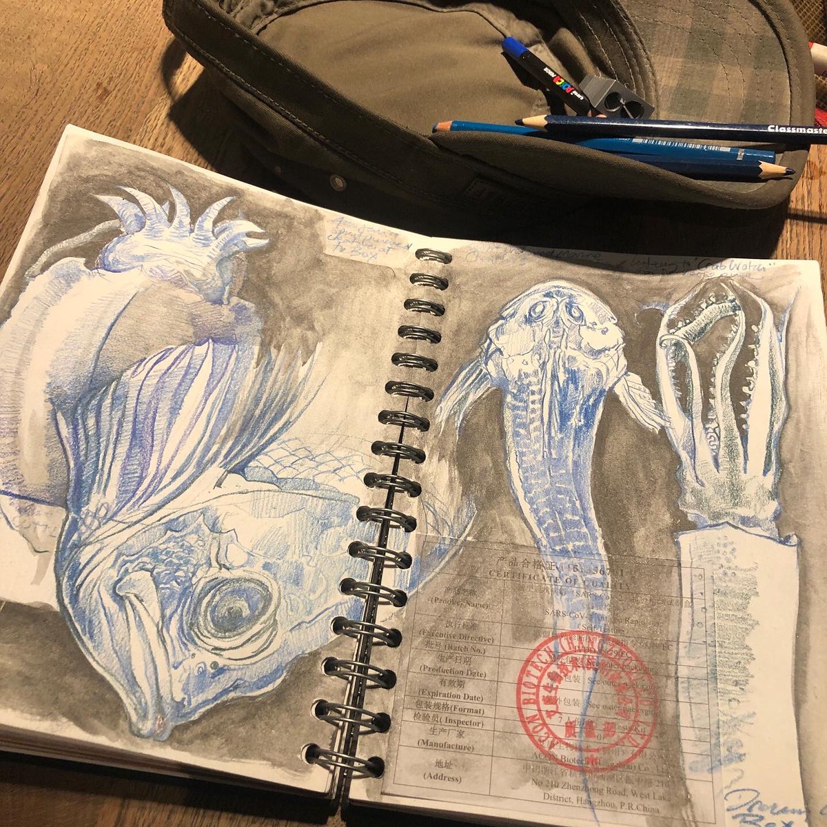 WreckDive's tweet photo. The Box - Plymouth. Wonderful - 1 hour sketching before the museum closed - blue pencils - as a reward to myself for writing on Wednesday - here in the wet specimen collection - again, I can’t keep away. #thebox @theboxplymouth #sketchbook #draw #drawing #fish #wetspecimens #uk https://t.co/VlhMrElJ4w
