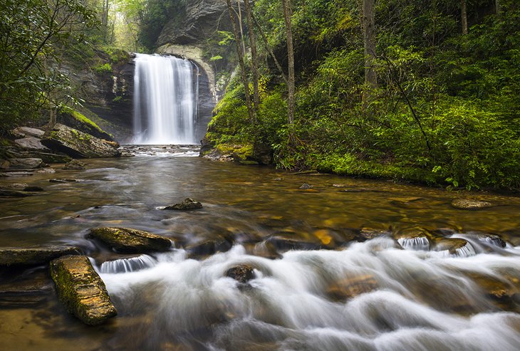CarsonCityHomes's tweet photo. Get out and enjoy the beautiful #nature that North Carolina has to offer by visiting one of these waterfalls. #explore  https://t.co/FvVEJDonfR https://t.co/BMN4ysAx5r