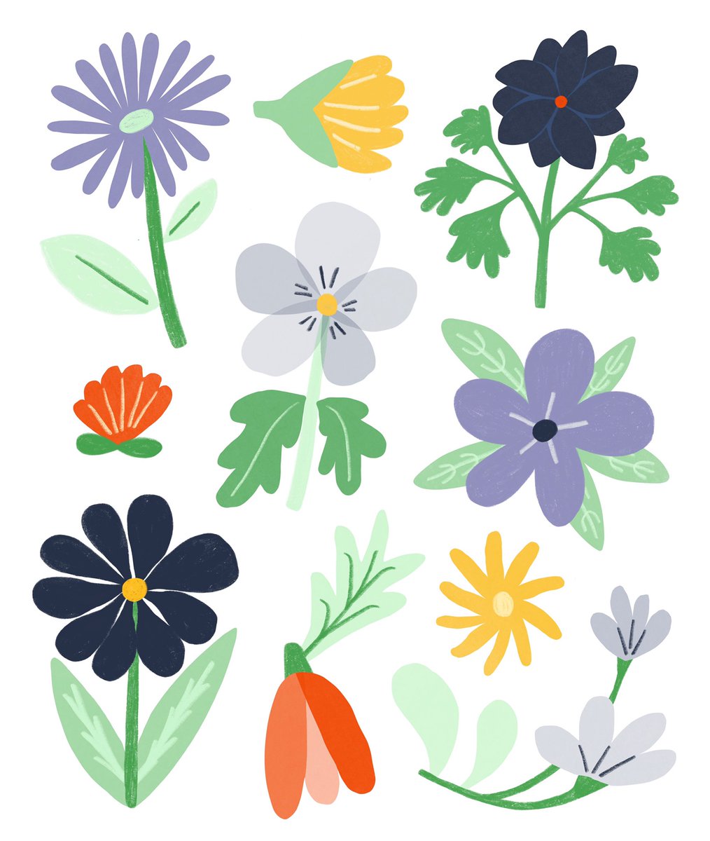 Perri Greeley tweet media