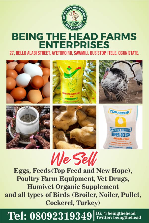 Being The Head Farms Enterprises (@beingthehead) / Twitter Being The Head Farms Enterprises (@beingthehead) / Twitter