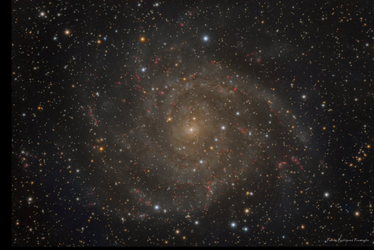 IC 342 or the Hidden Galaxy in the constellation  Camelopardalis gets its name due to its location in the dusty areas near  the Milky Way galactic equator.This image was obtained thought a Meade LX850 12" telescope with QHY268m camera

Copyright: Fabian Rodriguez Frustaglia
