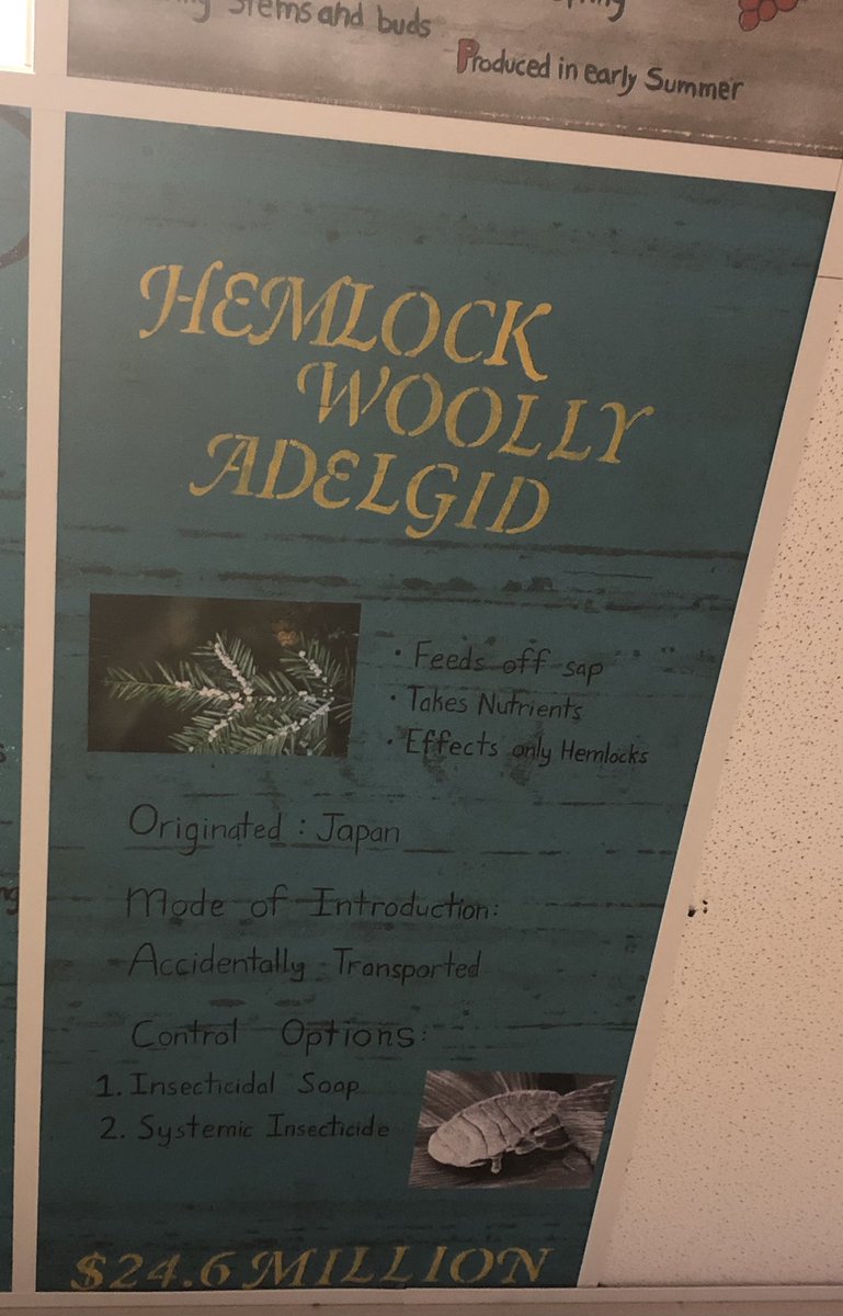 Michaela Gerhart tweet media