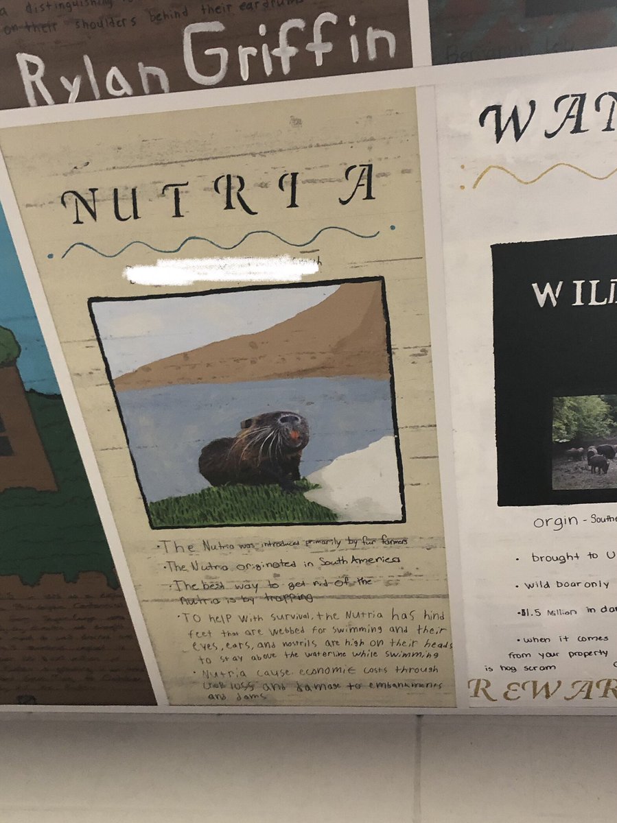 Michaela Gerhart tweet media